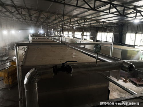 腐竹廠蒸汽利用診斷與節能改造案例解析